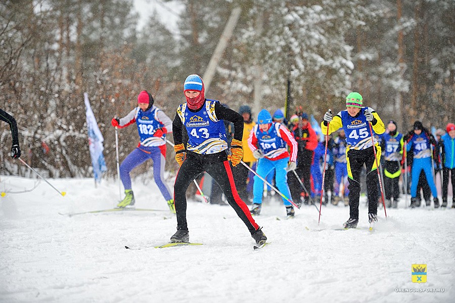 Чемпионат и первенство по лыжным гонкам